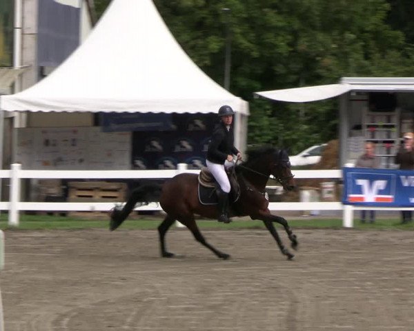 Reitturnier Mildstedt - JTN 2023