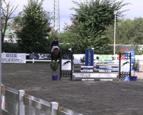 Reitturnier Mildstedt - JTN 2023