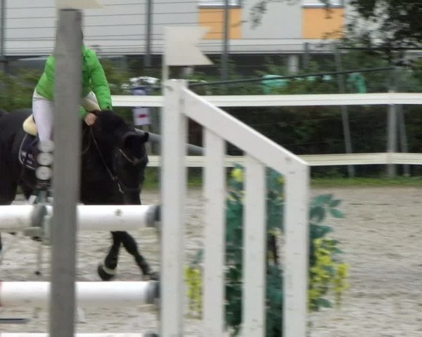 Reitturnier Stadt Bregenz 2023