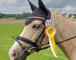 broodmare Janell Royale WE (German Riding Pony, 2010, from Casino Royale K WE)
