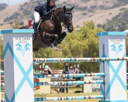 jumper Ezmeralda Eh Z (Zangersheide riding horse, 2012, from Emerald van 't Ruytershof)