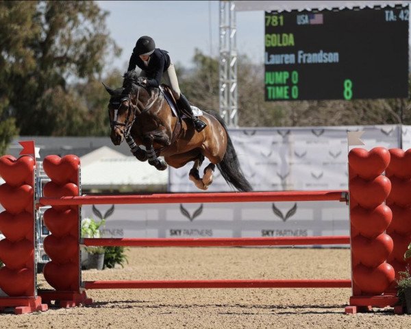 jumper Golda (Holsteiner, 2014, from Connor 48)