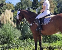jumper Cupido Ts (KWPN (Royal Dutch Sporthorse), 2007, from Air Jordan Z)