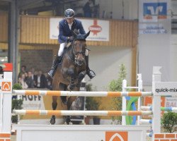 dressage horse Cezaro (KWPN (Royal Dutch Sporthorse), 2007, from Painted Black)