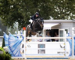 jumper Calea 8 (Westphalian, 2010, from Camax L)