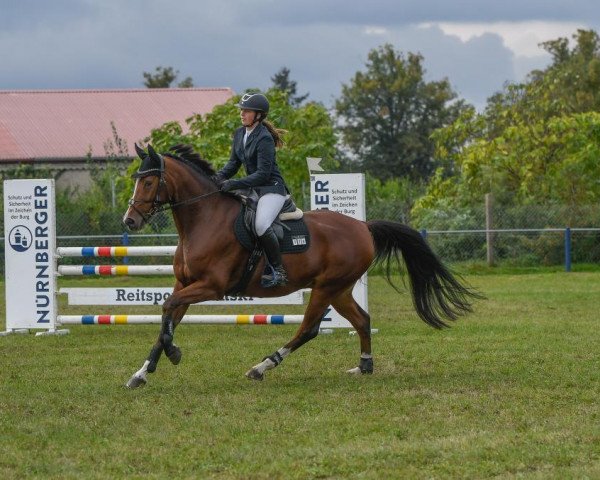 jumper Concalu (Mecklenburg, 2016, from Con Ferro)
