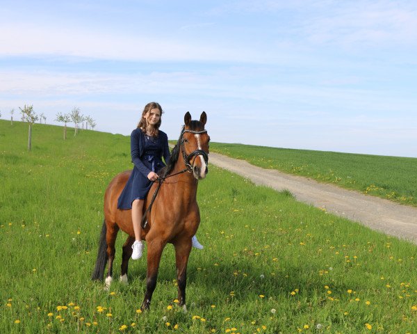 Neele Dauth