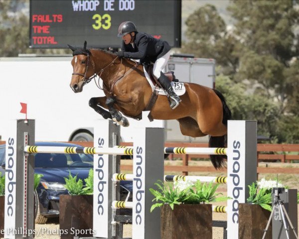 jumper Whoop de Doo (American Warmblood, 2011, from Mr Whoopy) jumper Whoop de Doo (American Warmblood, 2011, from Mr Whoopy)