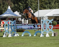 jumper Collin 149 (Holsteiner, 2015, from Christian 25)