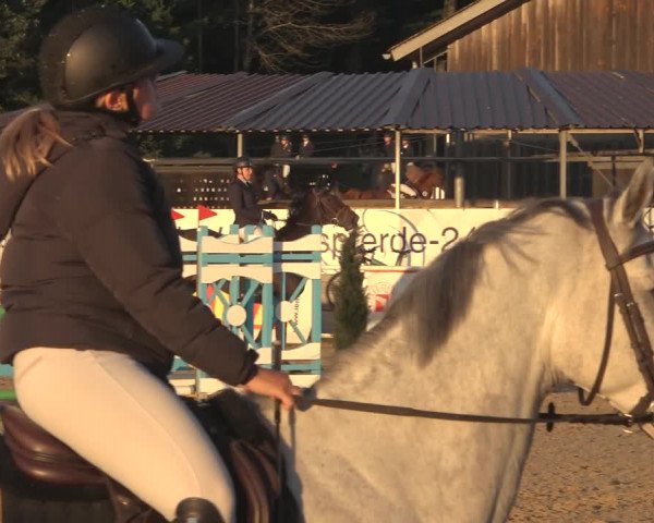 Reitturnier Ranshofen - Braunau am Inn 2023