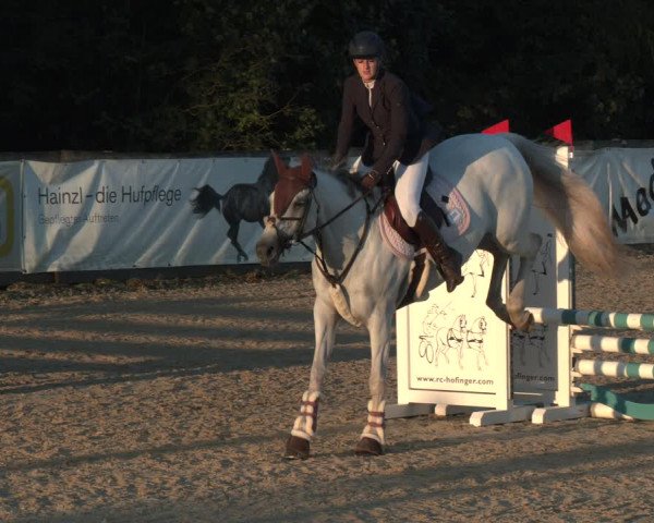 Reitturnier Ranshofen - Braunau am Inn 2023