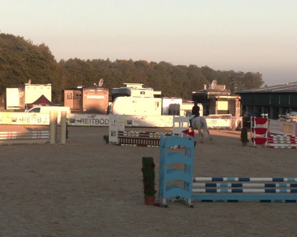 Reitturnier Ranshofen - Braunau am Inn 2023