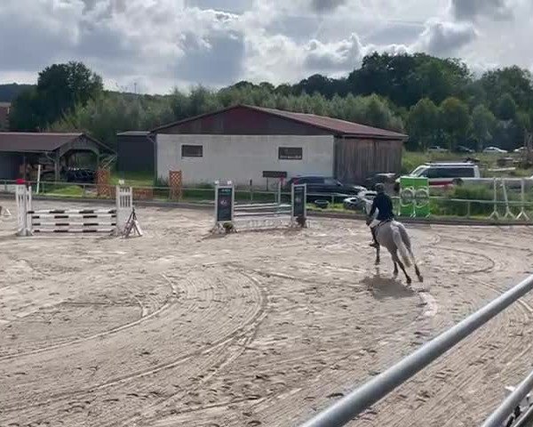 Video von Macoca