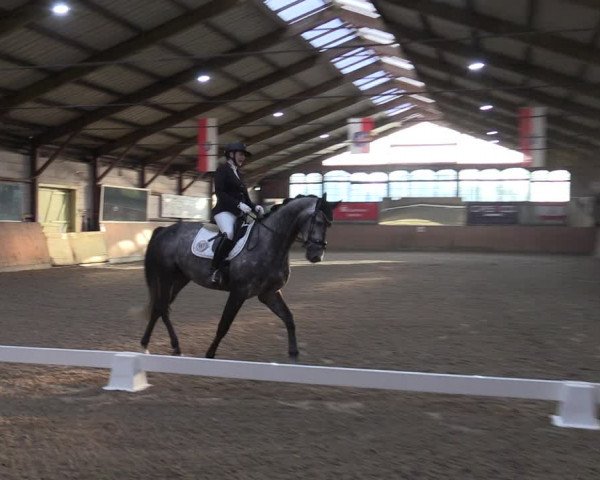 Reitturnier Elisenau 2023