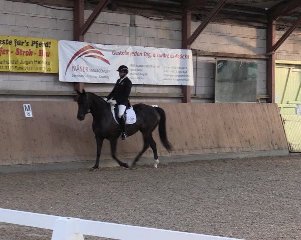 Reitturnier Elisenau 2023