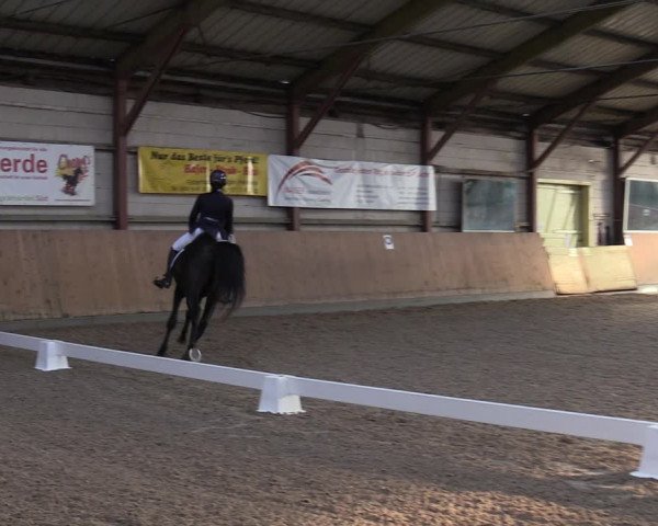 Reitturnier Elisenau 2023