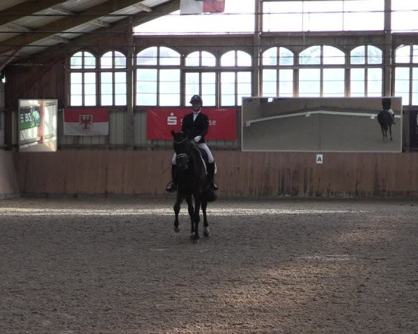 Reitturnier Elisenau 2023