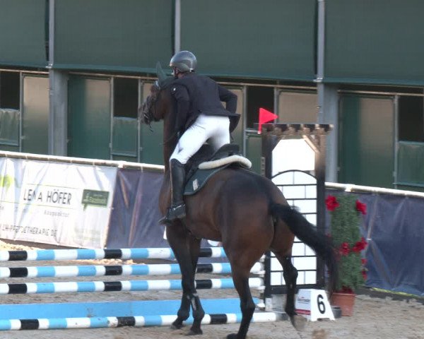 Reitturnier Ranshofen - Braunau am Inn 2023