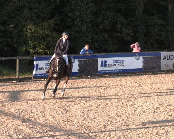 Reitturnier Ranshofen - Braunau am Inn 2023
