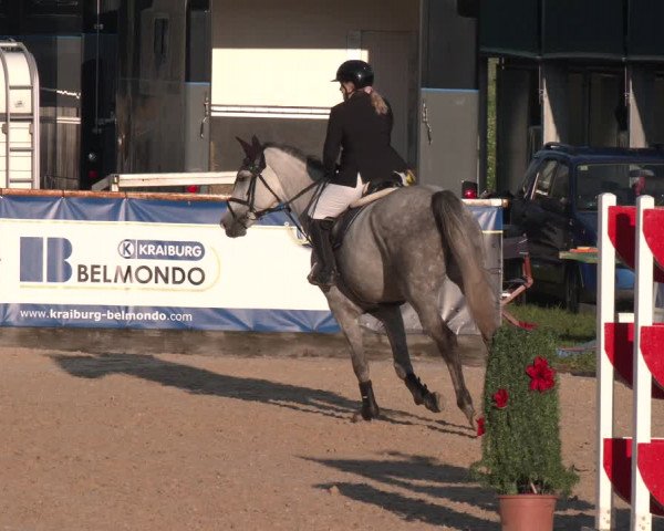 Reitturnier Ranshofen - Braunau am Inn 2023