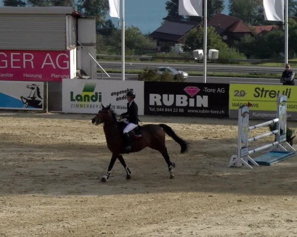 Reitturnier Wädenswil 2023