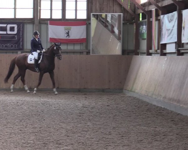 Reitturnier Elisenau 2023