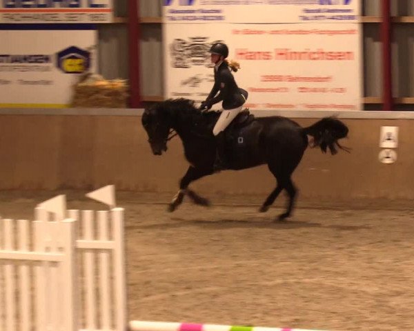 Reitturnier Behrendorf 2023