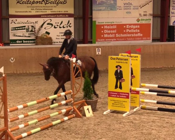 Reitturnier Behrendorf 2023