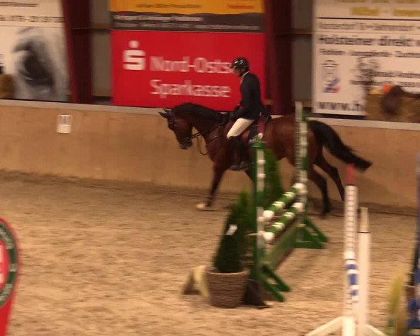 Reitturnier Behrendorf 2023