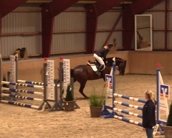 Reitturnier Behrendorf 2023