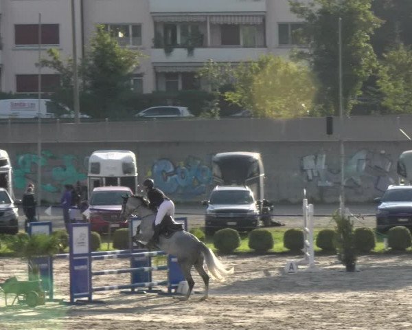 Reitturnier Basel/Schänzli 2023