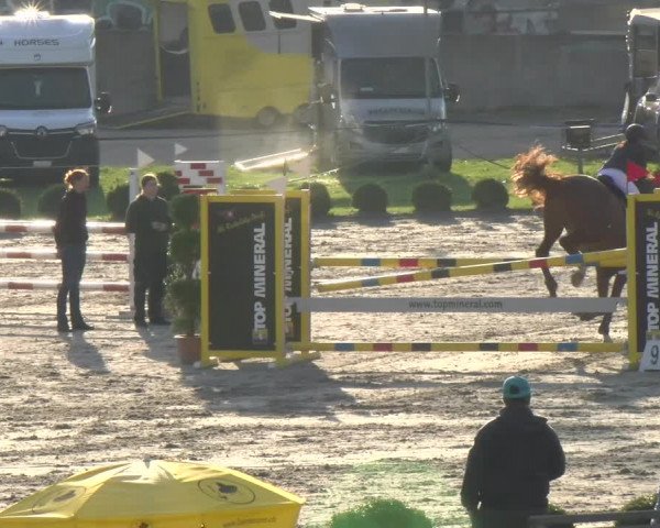 Reitturnier Basel/Schänzli 2023