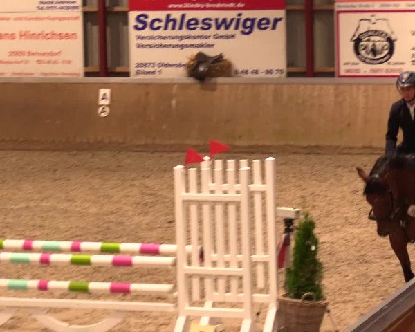 Reitturnier Behrendorf 2023