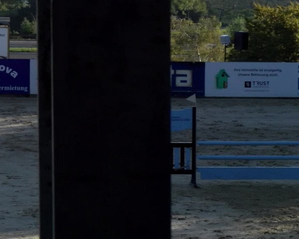 Reitturnier Wädenswil 2023