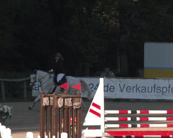 Reitturnier Ranshofen - Braunau am Inn 2023