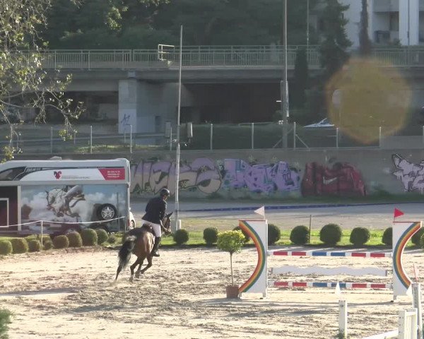 Reitturnier Basel/Schänzli 2023