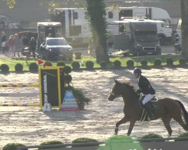 Reitturnier Basel/Schänzli 2023