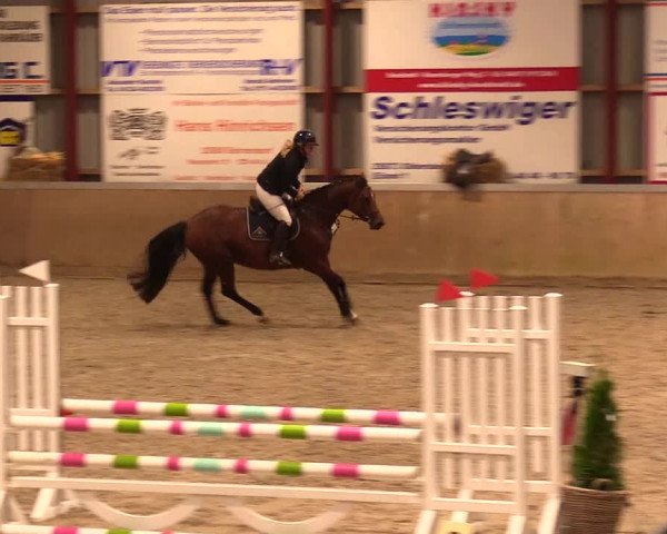 Reitturnier Behrendorf 2023