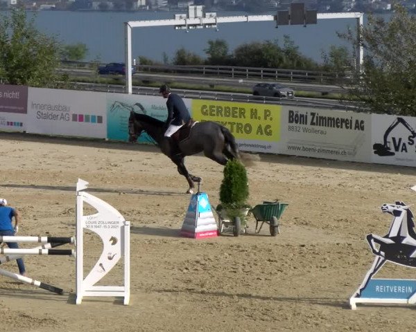 Reitturnier Wädenswil 2023