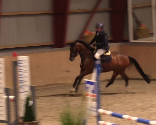 Reitturnier Behrendorf 2023