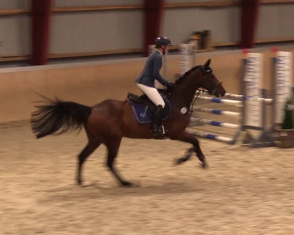 Reitturnier Behrendorf 2023
