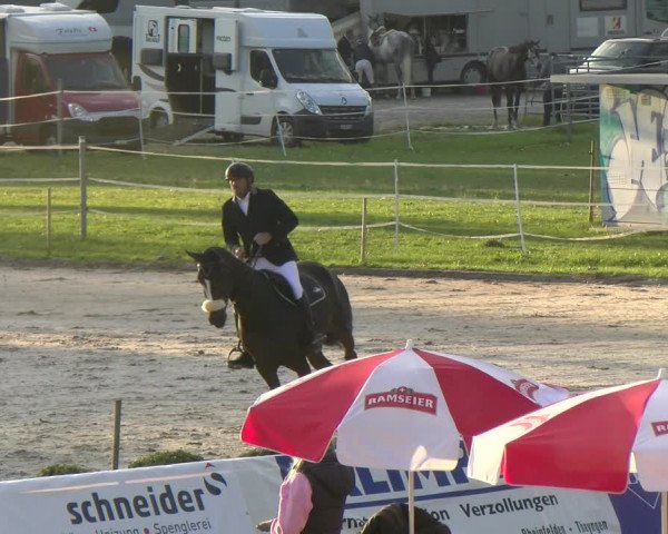Reitturnier Basel/Schänzli 2023