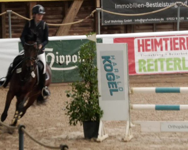 Reitturnier Böblingen 2023
