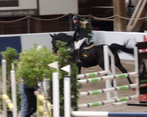 Reitturnier Böblingen 2023