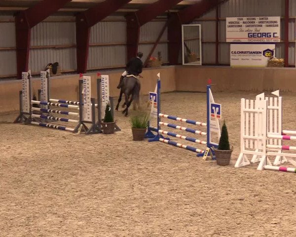 Reitturnier Behrendorf 2023