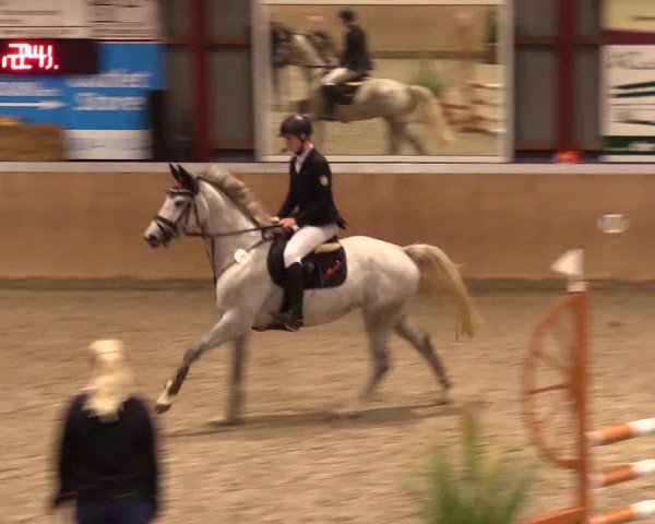 Reitturnier Behrendorf 2023