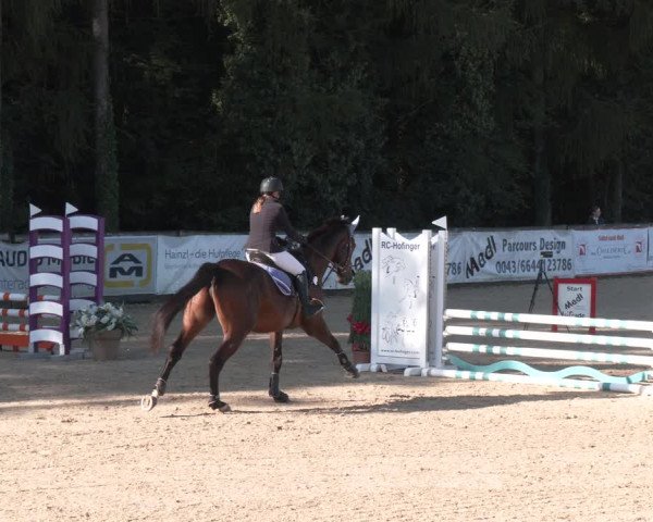 Reitturnier Ranshofen - Braunau am Inn 2023