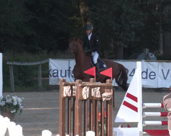 Reitturnier Ranshofen - Braunau am Inn 2023