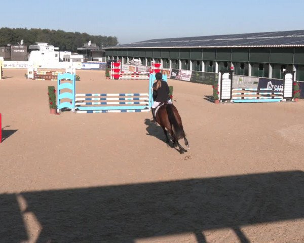 Reitturnier Ranshofen - Braunau am Inn 2023