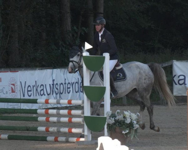 Reitturnier Ranshofen - Braunau am Inn 2023